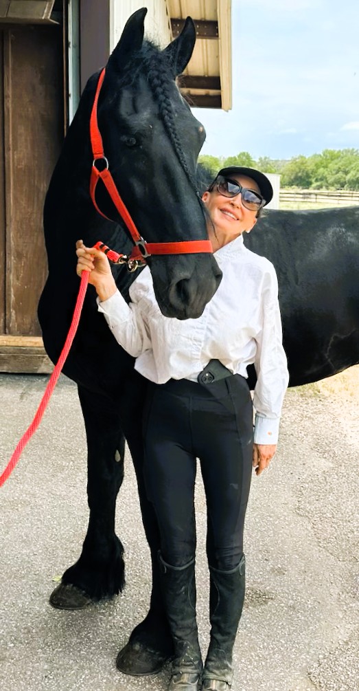 Friesian ORION Veenenhof - Sold